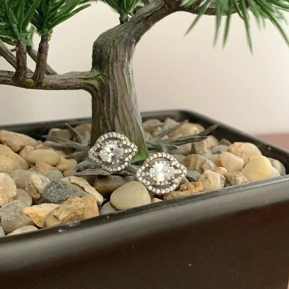 Silvertone earrings